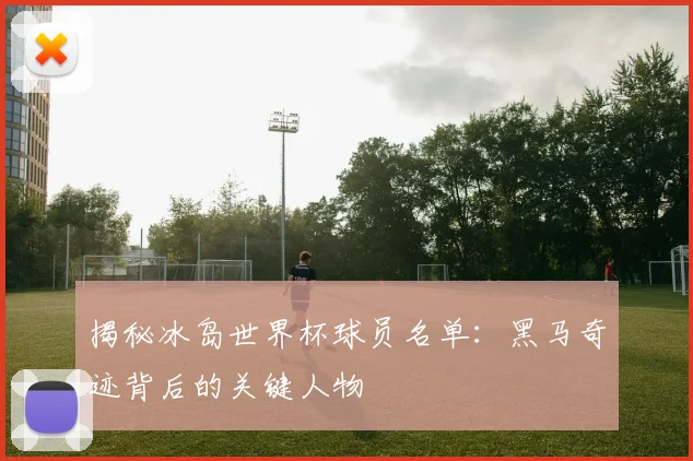 揭秘冰岛世界杯球员名单：黑马奇迹背后的关键人物