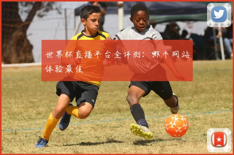 世界杯直播平台全评测:哪个网站体验最佳