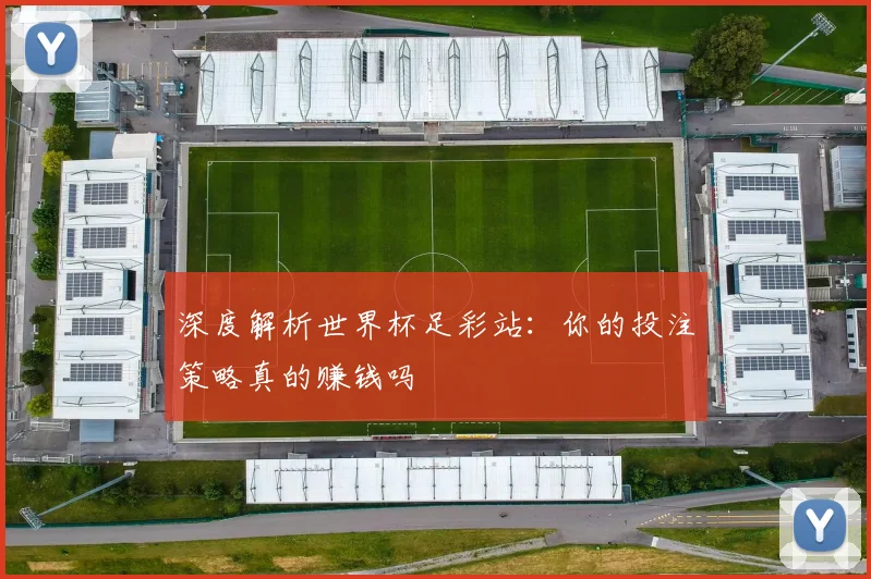 深度解析世界杯足彩站：你的投注策略真的赚钱吗