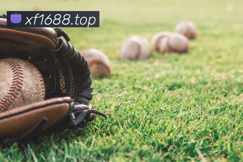 beat365在线唯一官网APP 体育赛事宣传图